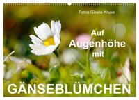 Auf Augenhöhe mit Gänseblümchen (Wandkalender 2025 DIN A2 quer), CALVENDO Monatskalender