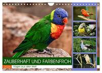 Zauberhaft und farbenfroh (Wandkalender 2026 DIN A4 quer), CALVENDO Monatskalender