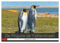 Die Pinguine der Falklandinseln (Tischkalender 2025 DIN A5 quer), CALVENDO Monatskalender