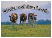 Rinder auf dem Lande (Wandkalender 2025 DIN A2 quer), CALVENDO Monatskalender
