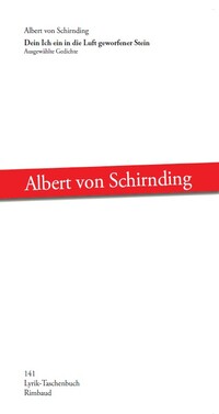 Vorderes Coverbild Dein Ich ein in die Luft geworfener Stein