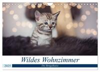 Wildes Wohnzimmer - Die Bengalkatze (Wandkalender 2025 DIN A4 quer), CALVENDO Monatskalender