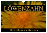 Löwenzahn - Die kleinen Sonnen (Wandkalender 2025 DIN A4 quer), CALVENDO Monatskalender