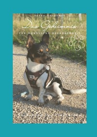 Das Geheimnis für hundliche Gelassenheit