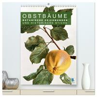 Obstbäume: Botanische Zeichnungen und historische Stiche (hochwertiger Premium Wandkalender 2026 DIN A2 hoch), Kunstdruck in Hochglanz