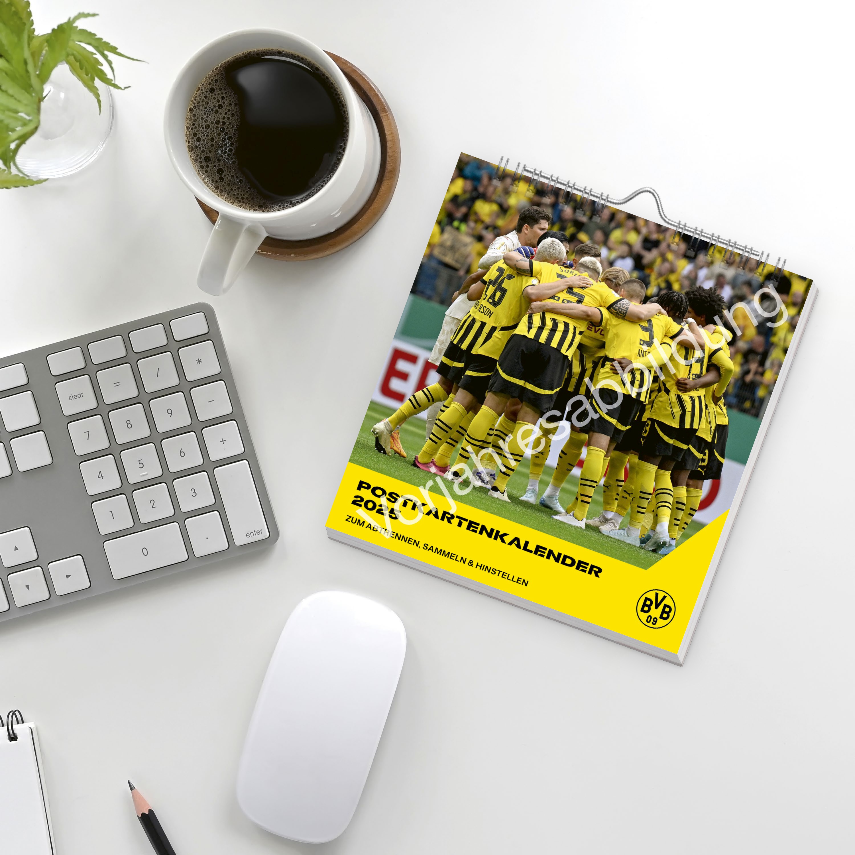 BVB Postkartenkalender 2026