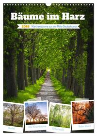 Bäume im Harz (Wandkalender 2026 DIN A3 hoch), CALVENDO Monatskalender