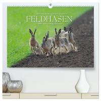Emotionale Momente: Feldhasen (hochwertiger Premium Wandkalender 2025 DIN A2 quer), Kunstdruck in Hochglanz