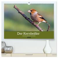 Der Kernbeißer und seine gefiederten Gesellen (hochwertiger Premium Wandkalender 2026 DIN A2 quer), Kunstdruck in Hochglanz