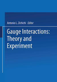 Vorderes Coverbild Gauge Interactions