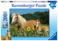 Vorderes Coverbild Kinderpuzzle 200 XXL Teile - Pferdeglück