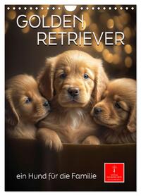 Golden Retriever - ein Hund für die Familie (Wandkalender 2026 DIN A4 hoch), CALVENDO Monatskalender