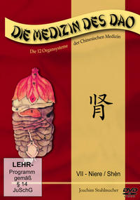 Niere / Shèn