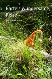 Vorderes Coverbild Bartels wundersame Reise