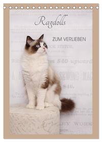 Ragdolls zum Verlieben (Tischkalender 2026 DIN A5 hoch), CALVENDO Monatskalender