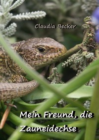 Mein Freund, die Zauneidechse