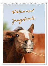 Fohlen und Jungpferde (Tischkalender 2026 DIN A5 hoch), CALVENDO Monatskalender