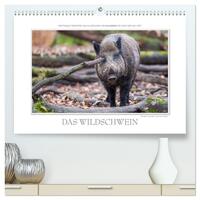 Emotionale Momente: Das Wildschwein. (hochwertiger Premium Wandkalender 2025 DIN A2 quer), Kunstdruck in Hochglanz