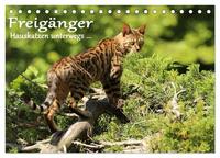 Freigänger - Hauskatzen unterwegs (Tischkalender 2026 DIN A5 quer), CALVENDO Monatskalender