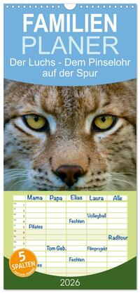 Familienplaner 2026 - Der Luchs - Dem Pinselohr auf der Spur mit 5 Spalten (Wandkalender, 21 x 45 cm) CALVENDO