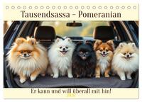 Tausendsassa - Pomeranian (Tischkalender 2026 DIN A5 quer), CALVENDO Monatskalender