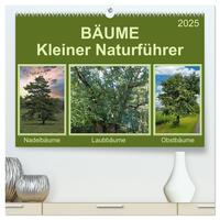 Bäume Kleiner Naturführer (hochwertiger Premium Wandkalender 2025 DIN A2 quer), Kunstdruck in Hochglanz