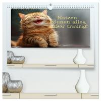 Katzen können alles, außer traurig. (hochwertiger Premium Wandkalender 2026 DIN A2 quer), Kunstdruck in Hochglanz