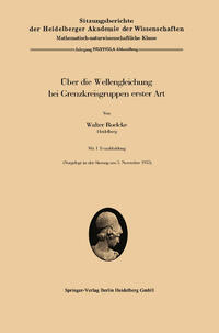 Über die Wellengleichung bei Grenzkreisgruppen erster Art