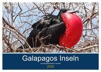 Tierwelt auf Galapagos (Tischkalender 2025 DIN A5 quer), CALVENDO Monatskalender