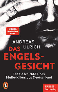 Vorderes Coverbild Das Engelsgesicht