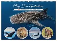 Big Five Australiens Buckelwal, Walhai, Orca, Quokka,Känguru (Wandkalender 2026 DIN A2 quer), CALVENDO Monatskalender