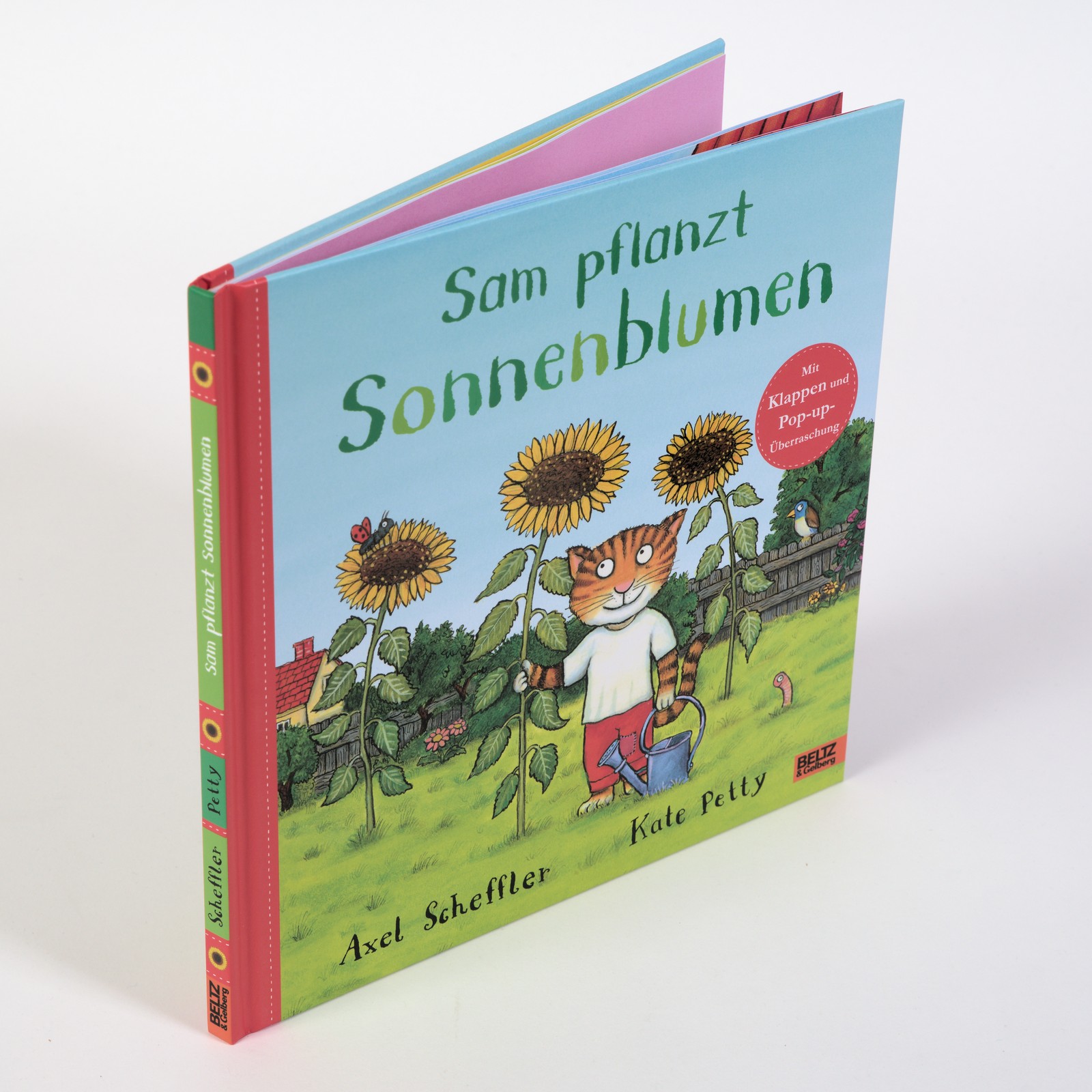 Sam pflanzt Sonnenblumen