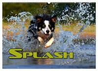 SPLASH - Hunde im Wasser (Wandkalender 2025 DIN A2 quer), CALVENDO Monatskalender