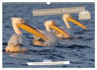 Sehnsuchtsziel Donaudelta (Wandkalender 2025 DIN A3 quer), CALVENDO Monatskalender