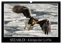 Seeadler - Könige der Lüfte (Wandkalender 2026 DIN A3 quer), CALVENDO Monatskalender