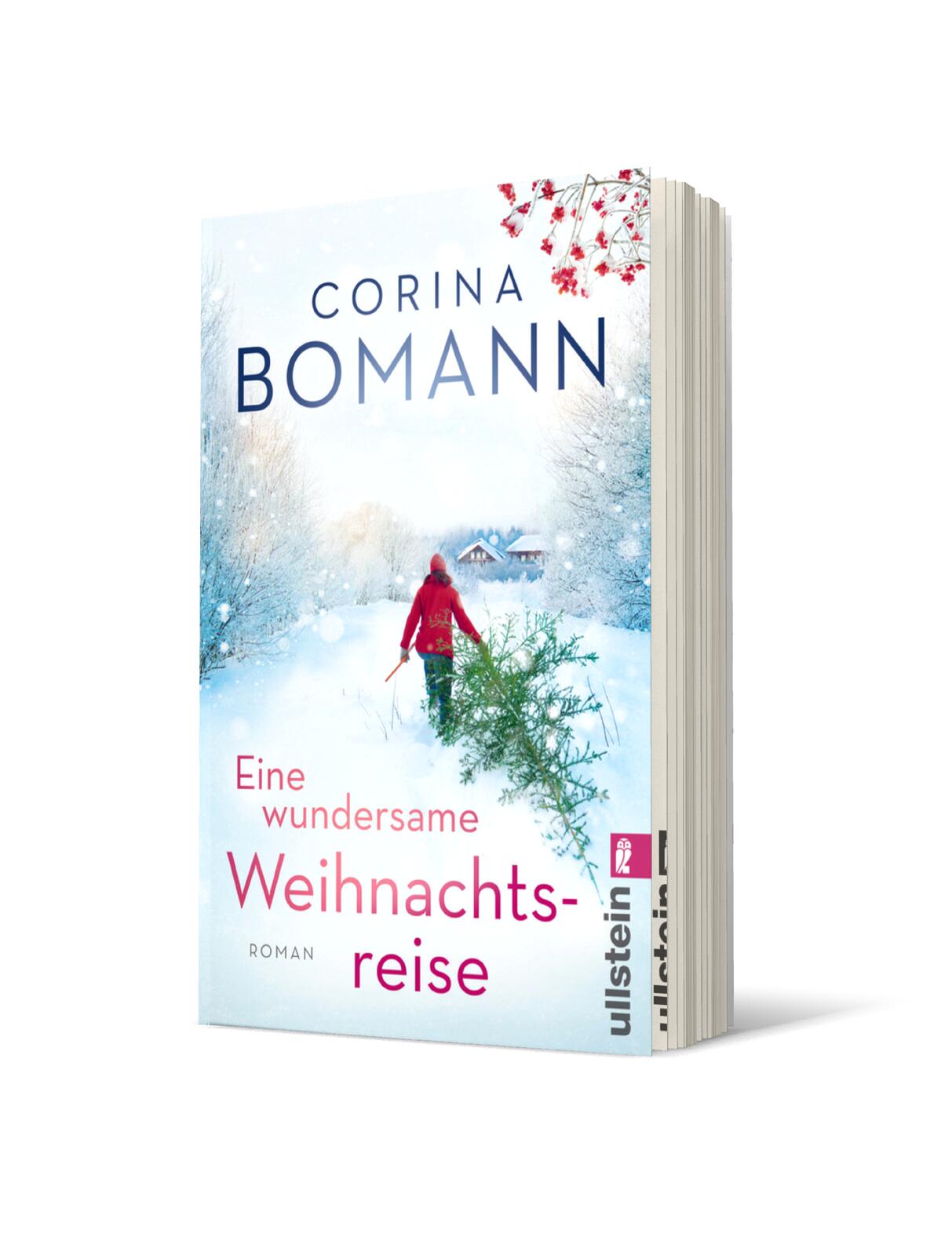 Eine wundersame Weihnachtsreise