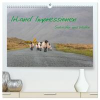 Irland Impressionen Südwesten und Westen (hochwertiger Premium Wandkalender 2025 DIN A2 quer), Kunstdruck in Hochglanz