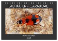 LAUFKÄFER - CARABIDAE (Tischkalender 2026 DIN A5 quer), CALVENDO Monatskalender