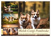 Welsh Corgi Pembroke (Wandkalender 2026 DIN A2 quer), CALVENDO Monatskalender