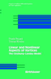 Linear and Nonlinear Aspects of Vortices