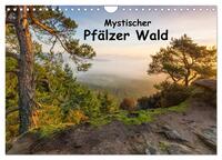 Mystischer Pfälzer Wald (Wandkalender 2025 DIN A4 quer), CALVENDO Monatskalender