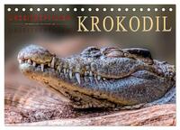 Urzeitreptilien - Krokodil (Tischkalender 2025 DIN A5 quer), CALVENDO Monatskalender