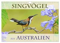 Singvögel aus Australien (Wandkalender 2025 DIN A4 quer), CALVENDO Monatskalender