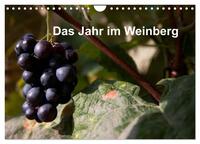 Das Jahr im Weinberg (Wandkalender 2025 DIN A4 quer), CALVENDO Monatskalender