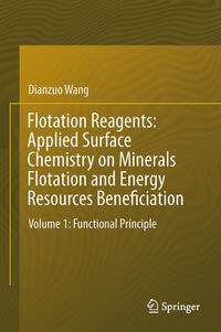 Flotation Reagents: Applied Surface Chemistry on Minerals Flotation and Energy Resources Beneficiation