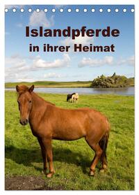 Islandpferde in ihrer Heimat (Tischkalender 2025 DIN A5 hoch), CALVENDO Monatskalender