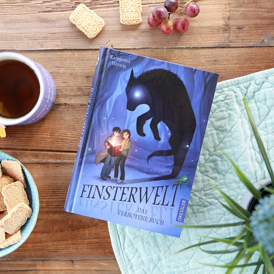 Anderes Coverbild Finsterwelt 1. Das verbotene Buch