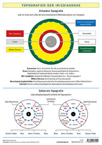 Topografien der Irisdiagnose