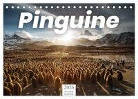 Pinguine - Die sympathischen Frack-Träger (Tischkalender 2026 DIN A5 quer), CALVENDO Monatskalender