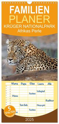 Familienplaner 2025 - KRÜGER NATIONALPARK Afrikas Perle mit 5 Spalten (Wandkalender, 21 x 45 cm) CALVENDO